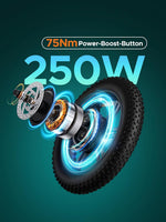 ENGWE L20 Boost E-Bike 48V 13Ah 250W 25km/h Schwarz