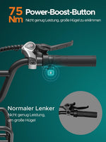 ENGWE L20 Boost E-Bike 48V 13Ah 250W 25km/h Schwarz