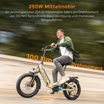 ENGWE L20 3.0 Pro E-Bike Schwarz 48V 15Ah Mittelmotor