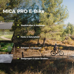 DERUIZ Mica Pro Trekking E-Bike Tiefeinsteiger 27,5/29 Zoll 110 Nm